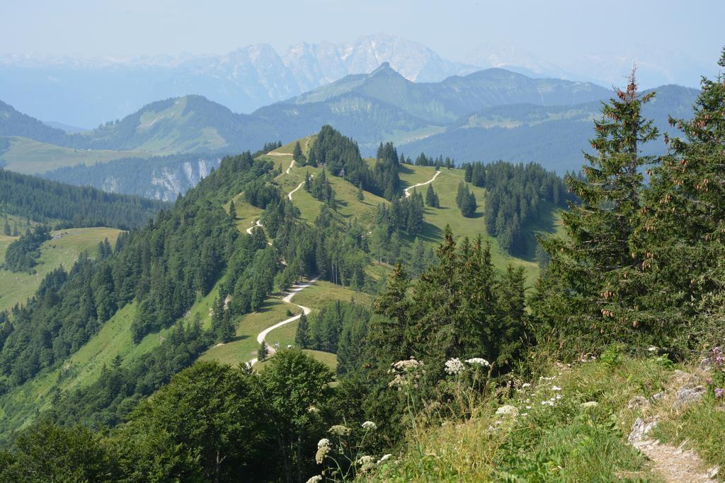Appart Weisse Urlauben Am Wolfgangsee Sankt Gilgen Dış mekan fotoğraf